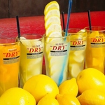 氷のかわりに凍らせた果実を入れた、見た目にも美味しい名物酎ハイ！ごろごろと入った果実で満足度◎