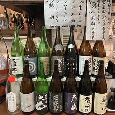 桐の木の写真