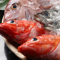 愛南町直送！鮮度抜群の海鮮