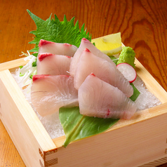 瀬戸内産カンパチ