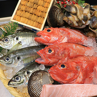 産地直送！新鮮な魚介類ご提供♪