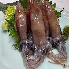 ホタルイカ刺し身