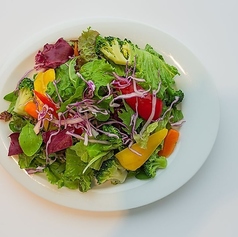 10種野菜のサラダ