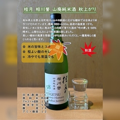 【提供可】桂月 相川誉 山廃純米酒 秋上がり