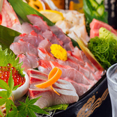 魚にこだわり、最高の鮮魚をご提供致します!!毎日美味しい新鮮魚介を仕入れております。のどぐろや金目鯛など、たくさんの魚を仕入れる事によって程よい最高の食材を仕入れておりますので厳選された部位まで食べることが出来ます。甘味もあり綺麗な盛り付けで場が盛り上る事間違いなしです!!