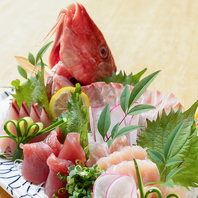 新鮮で見た目にも華やかなお造りがテーブルを彩ります！