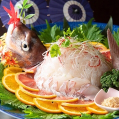 活魚 各種