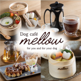 Dog cafe mellow