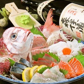 居酒屋 たさき画像
