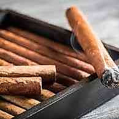 Cigar