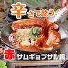 韓国屋台料理とプルコギ専門店 ヨンチャン プルコギのおすすめポイント2