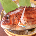 料理メニュー写真 季節のブランド魚を赤字大特価でご提供。今時期は『愛媛県産みかん鯛』お刺身