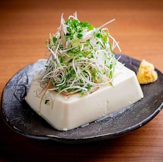 薬味まみれ冷奴