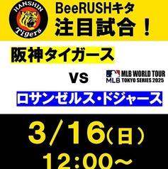 BeeRUSH ビーラッシュ キタ店のコース写真