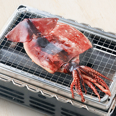 いかの一夜干し