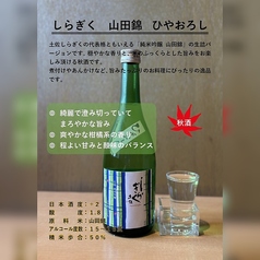 【提供可】しらぎく 山田錦 ひやおろし