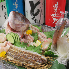 真鯛処ざまに 吉祥寺店特集写真1