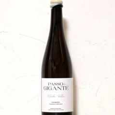 モーダ・ヴェーリャ　2023