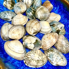 あさり(20個)