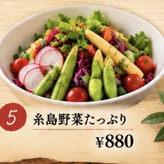 糸島野菜たっぷりサラダ