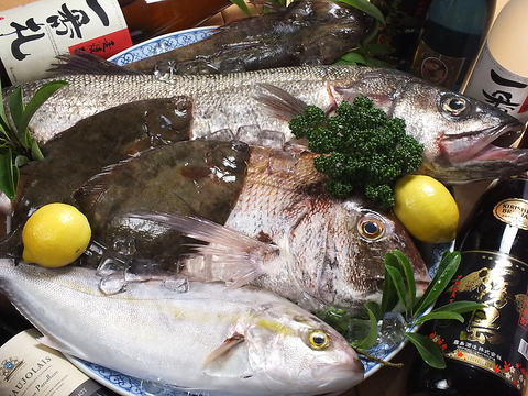 朝市場で仕入れた新鮮な旬のお魚！！！