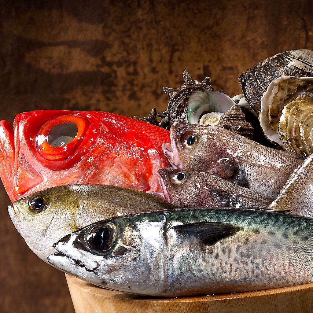 【鮮度が命!!今朝獲れ鮮魚】その日獲れた魚はその日の内に入荷するから鮮度が全く違います!!