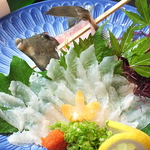 鮮魚の活き造りや素材にこだわった和創作料理が味わえる