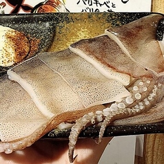 天然イカの一夜干し