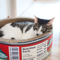 保護猫カフェstellataのおすすめ料理1