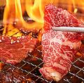 ときわ亭 溝の口店のおすすめ料理1