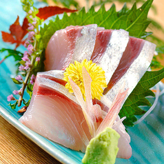 活〆カンパチ
