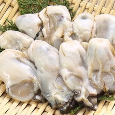 居酒屋 遊心の特集写真