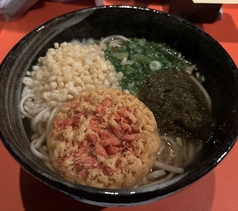 天ぷらうどん