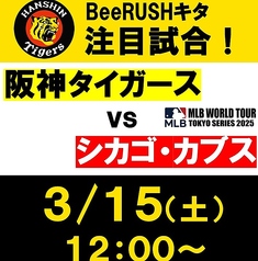 BeeRUSH ビーラッシュ キタ店のコース写真