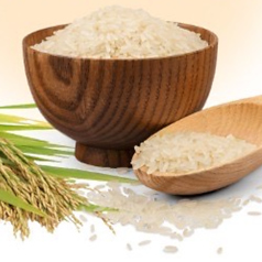 京都産コシヒカリ使用！炊き立てご飯が主役のランチ♪