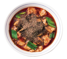 正宗陳麻婆豆腐