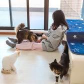 保護猫カフェstellataのおすすめ料理2