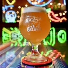 Craft Beer / クラフトビール