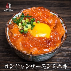 カンジャンサーモンミニ丼