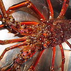 海彩園のコース写真