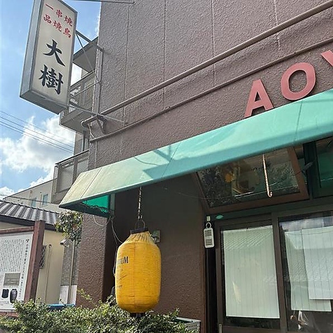 大樹の写真