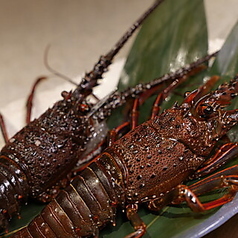 鉄板炎 銀座のコース写真