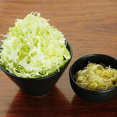 キャベツネギてんこ盛り