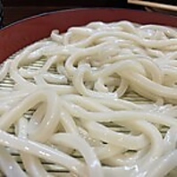 毎日手打ち！職人が生み出す究極のつるしこ麺