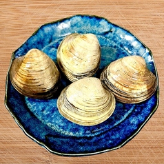 ホンノビス貝(4個)