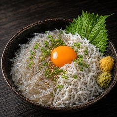 生しらすと釜揚げしらすの二色丼