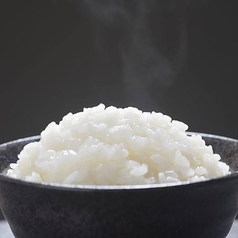 本日の白米ご飯