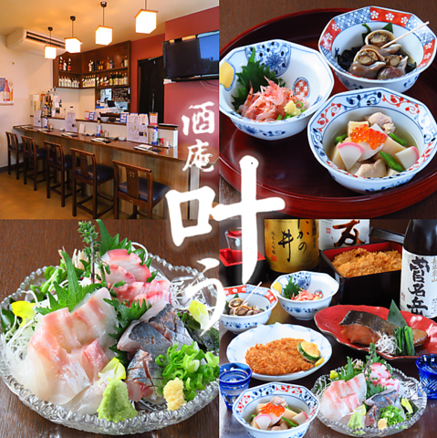 アットホームな空間で気軽に楽しむ、季節の旬・本格的な板前料理『酒庵叶う』