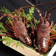 厳選した伊勢海老が楽しめる