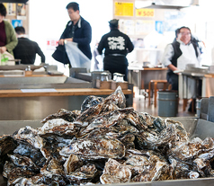 松島焼がきハウスのコース写真